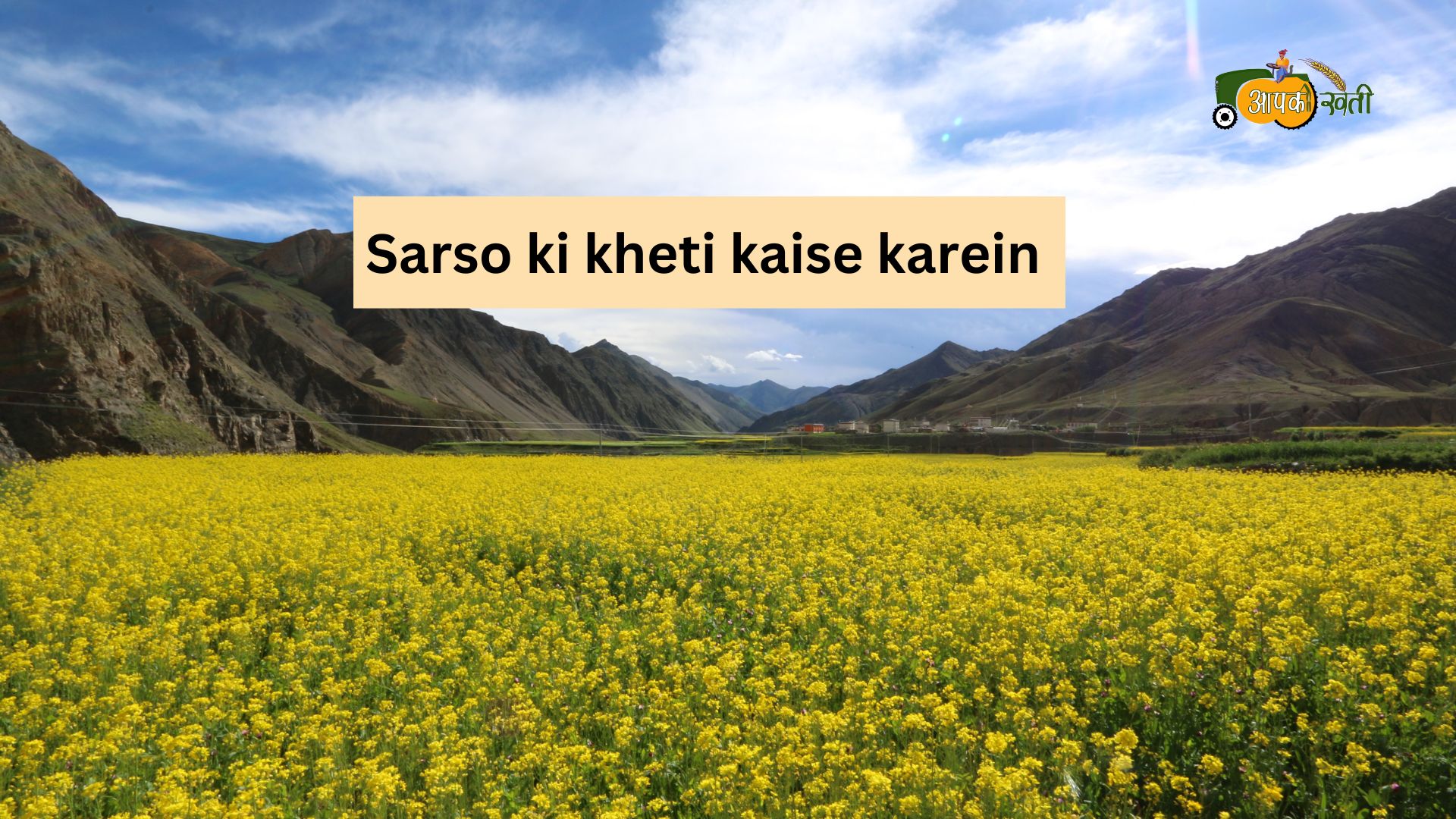 Sarso ki kheti Aapkikheti.com