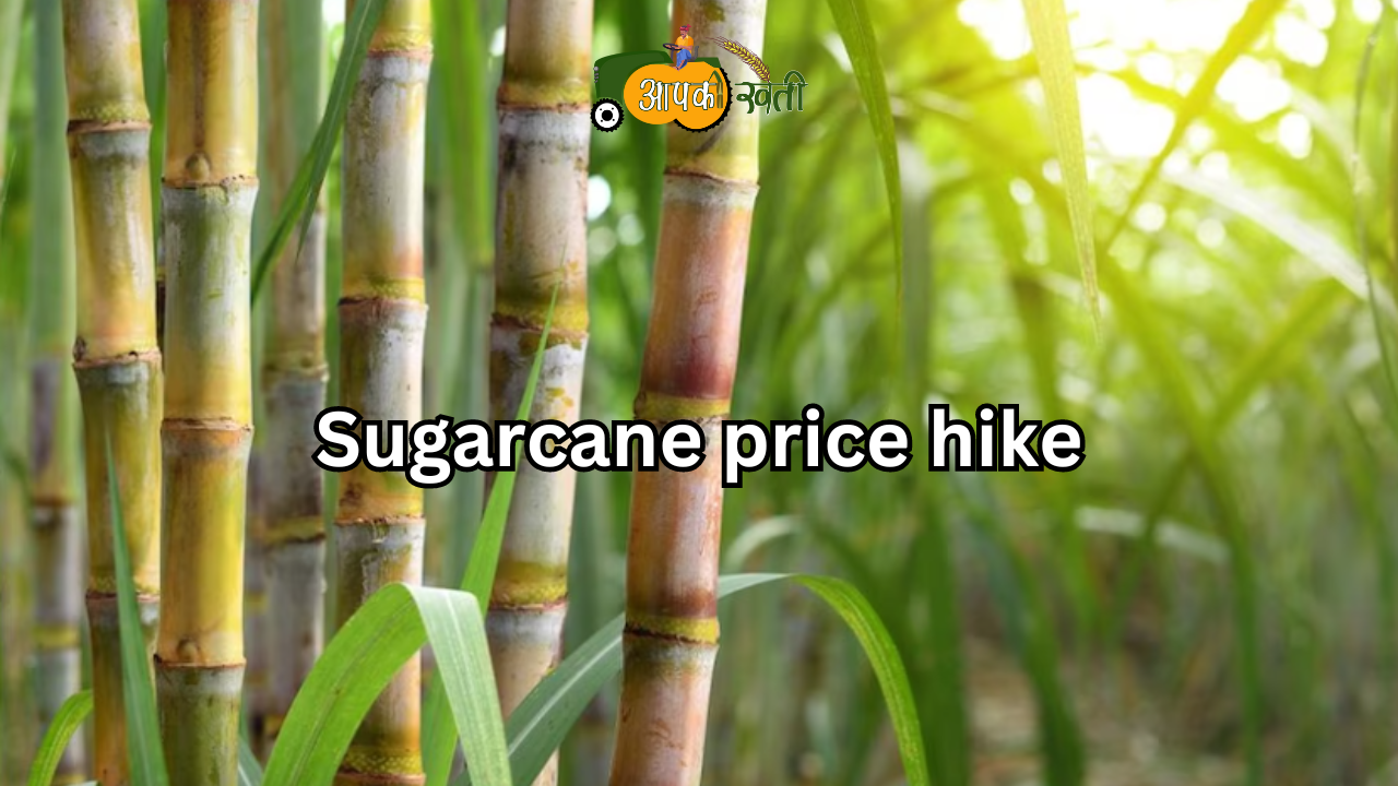 Sugarcane price hike