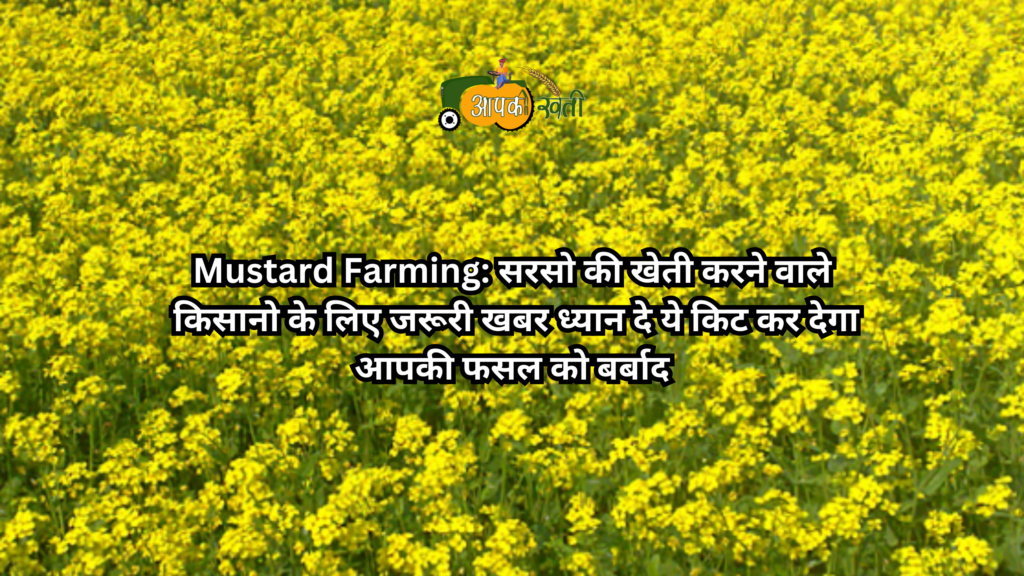 Mustard Farming