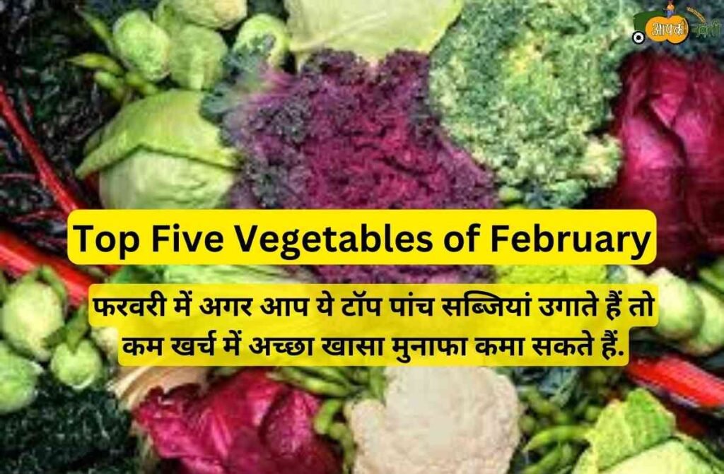 Top Five Vegetables of February