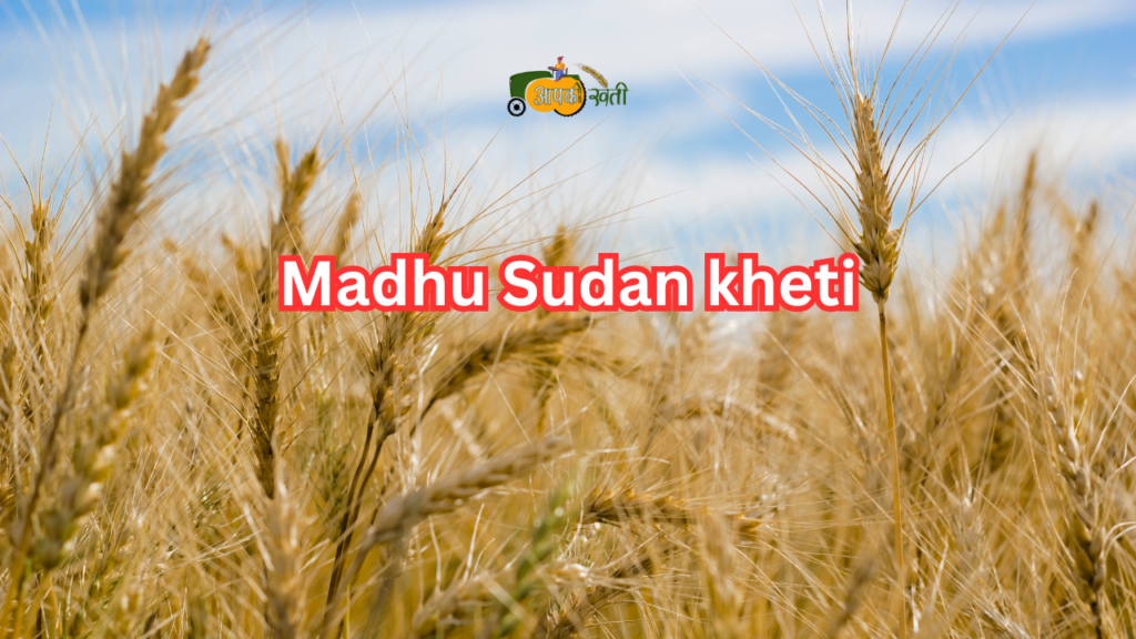 Madhu Sudan kheti