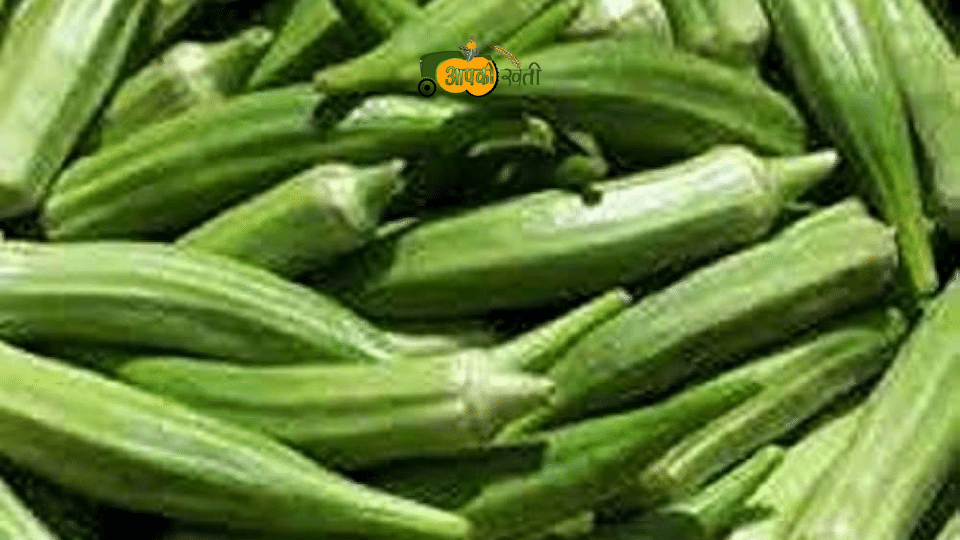 Varieties Of Ladyfinger