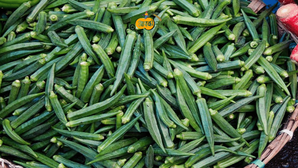 Varieties Of Ladyfinger