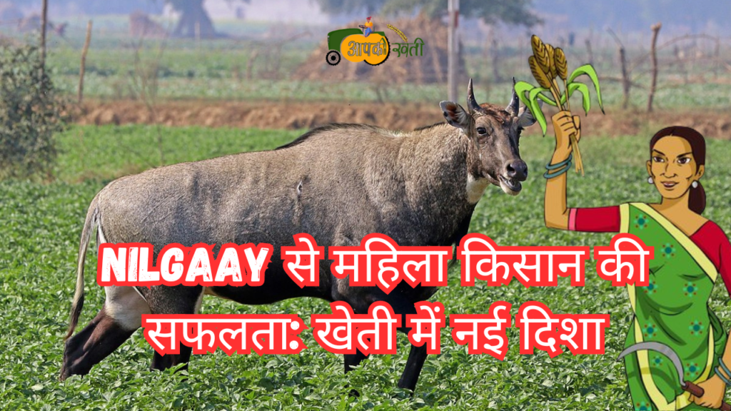 Nilgaay