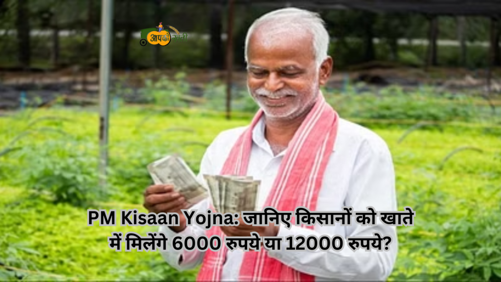 PM Kisaan Yojna