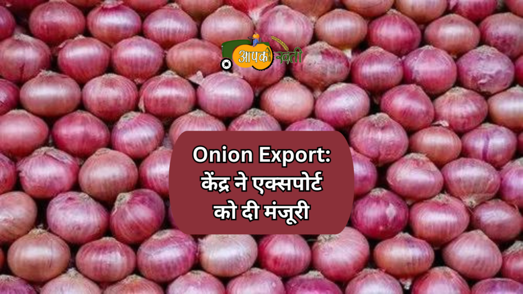 Onion Export