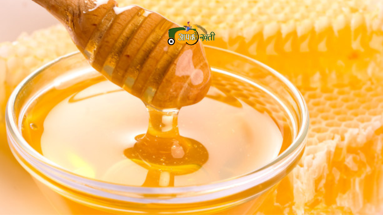 Honey Export