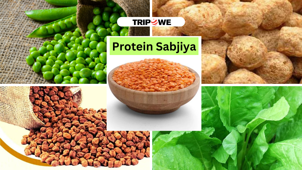 Protein Sabjiya