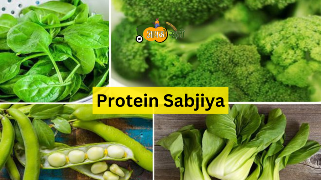 Protein Sabjiya