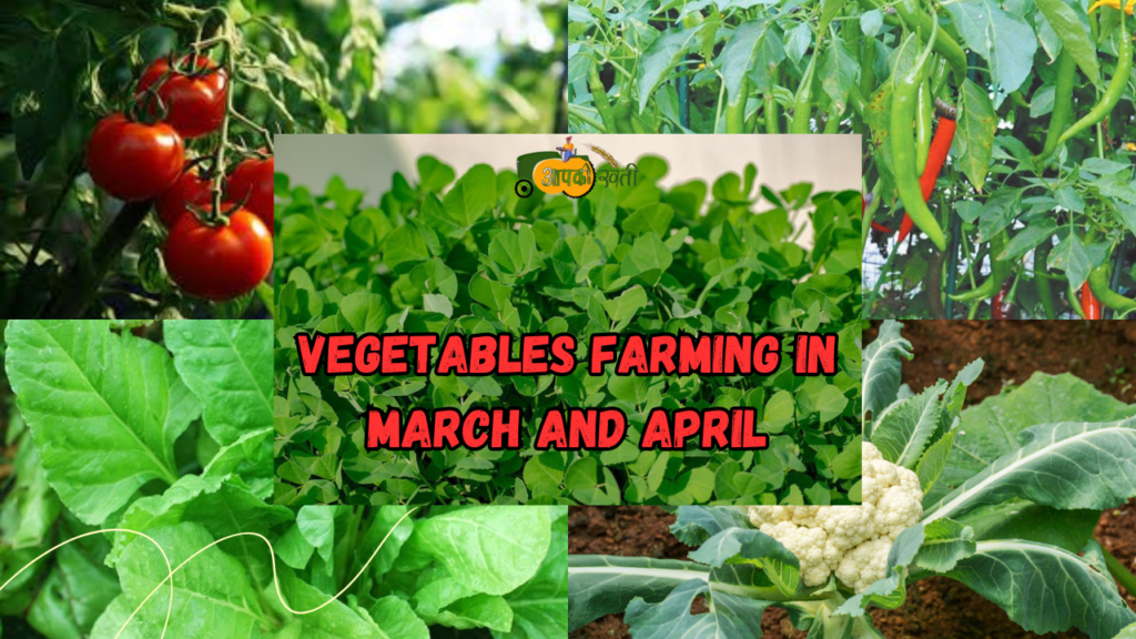 Vegetables Farming in March and April