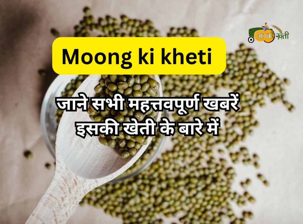 Moong ki kheti