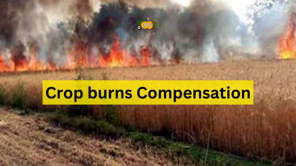 Crop burns Compensation