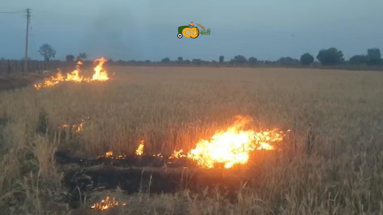 Crop burns Compensation