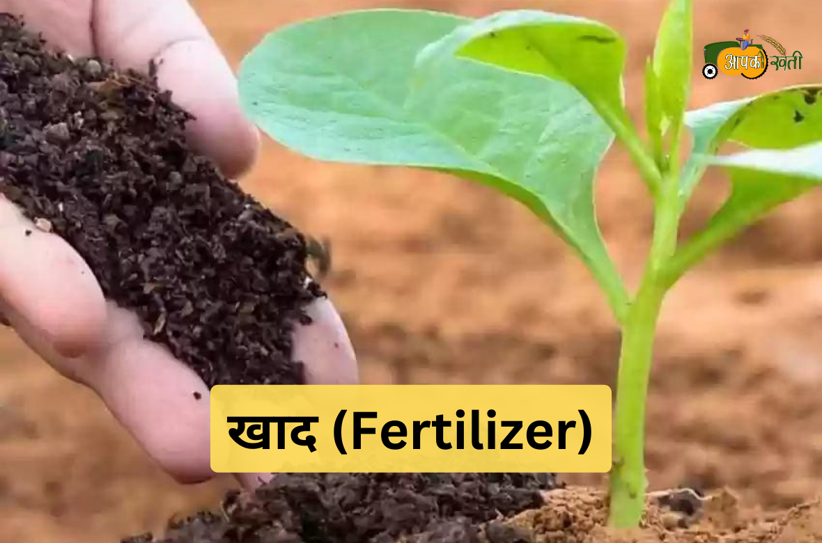 Khad VS Manure: दोनों के बीच अंतर aapkikheti.com