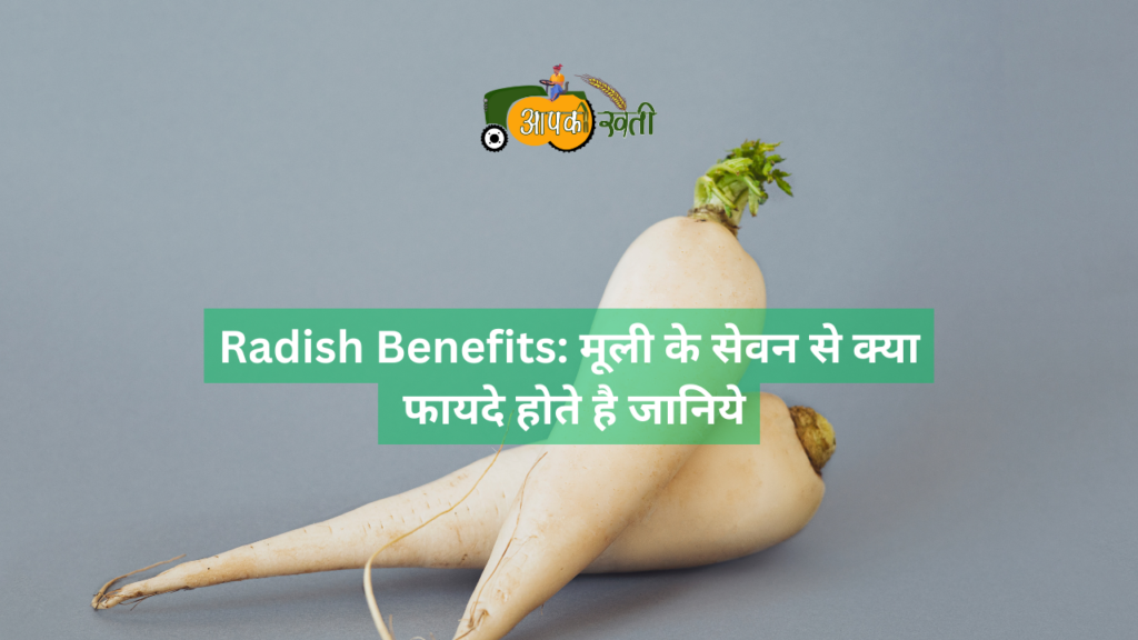 Radish Benefits