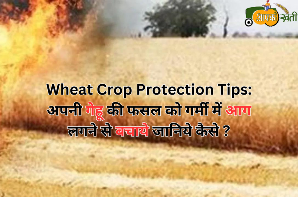 Wheat Crop Protection Tips