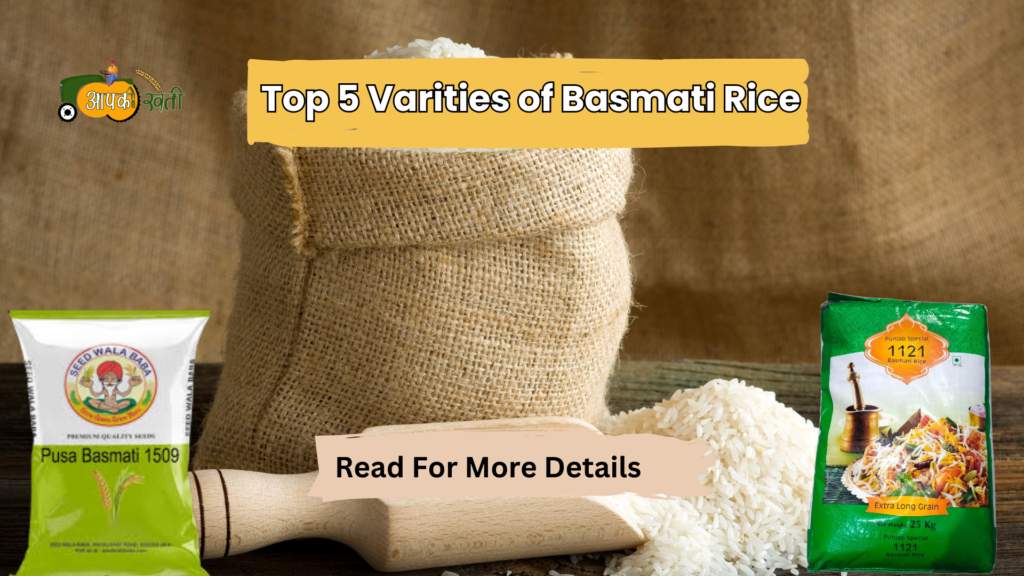 Top 5 Varities of Basmati Rice