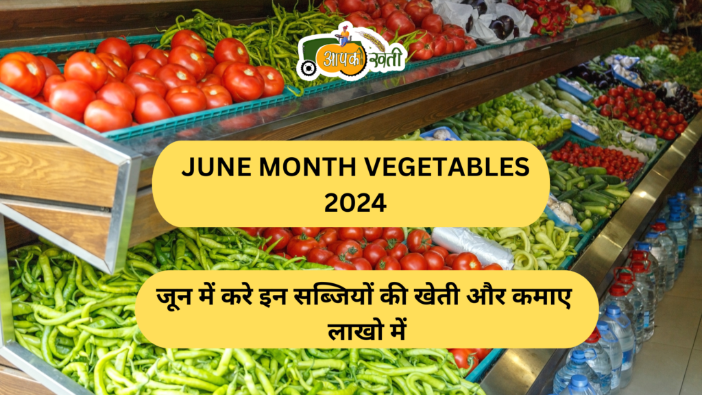 June Month Vegetables 2024 aapkikheti