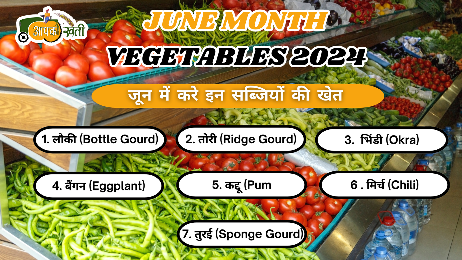 June Month Vegetables 2024 aapkikheti.com