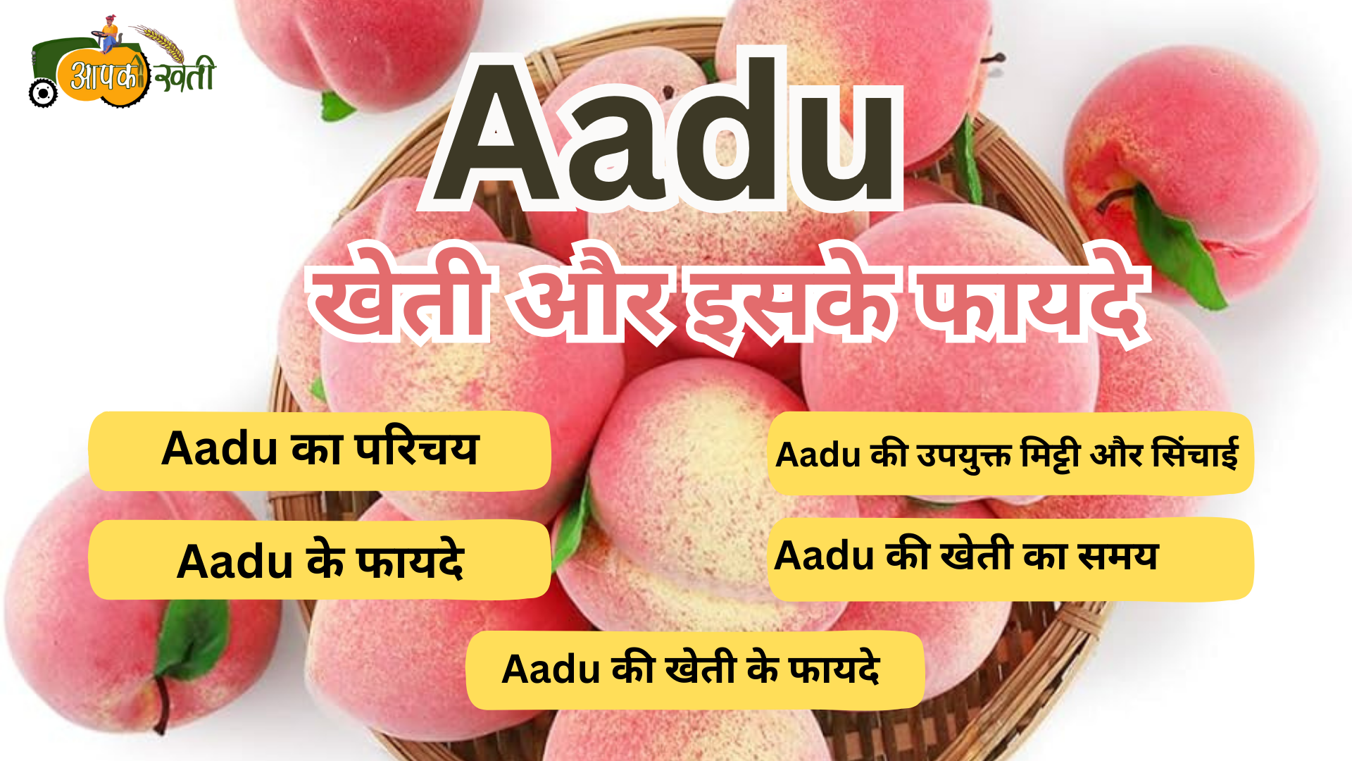 Aadu : खेती और इसके फायदे Aapkikheti.com