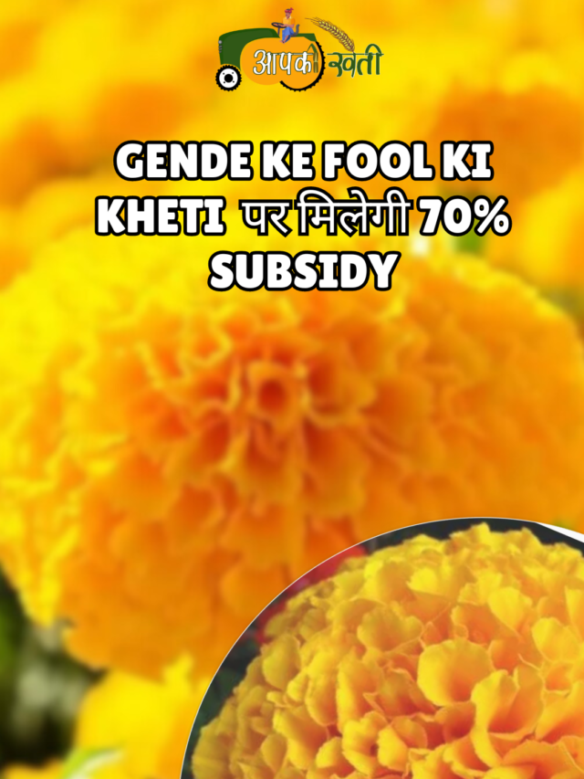 Gende ke fool ki kheti Subsidy