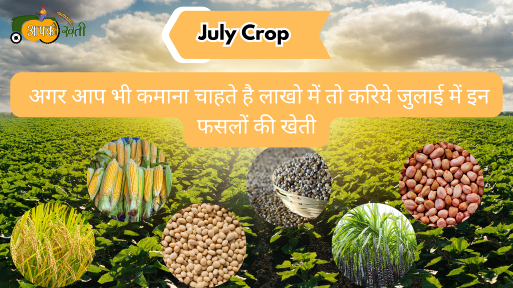 July Crop: अगर आप भी कमाना चाहते है लाखो में तो करिये जुलाई में इन फसलों की खेती aapkikheti.com