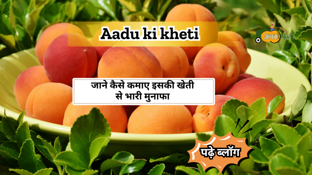 Aadu ki kheti-Aapkikheti.com