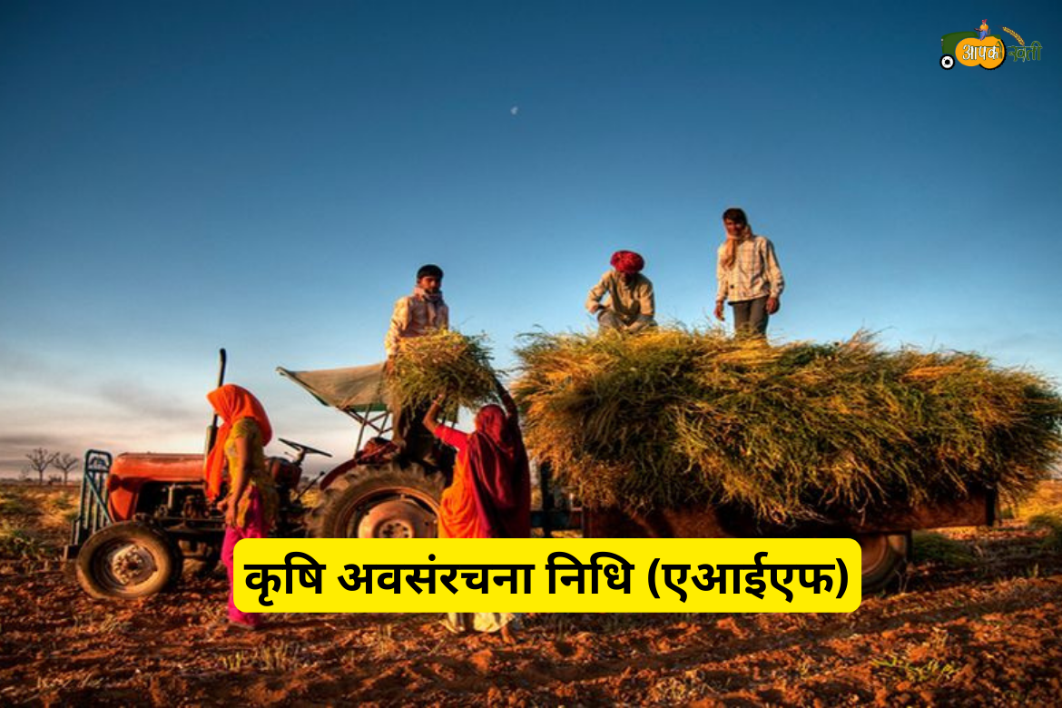 How to Apply for Agricultural loans aapkikheti.com