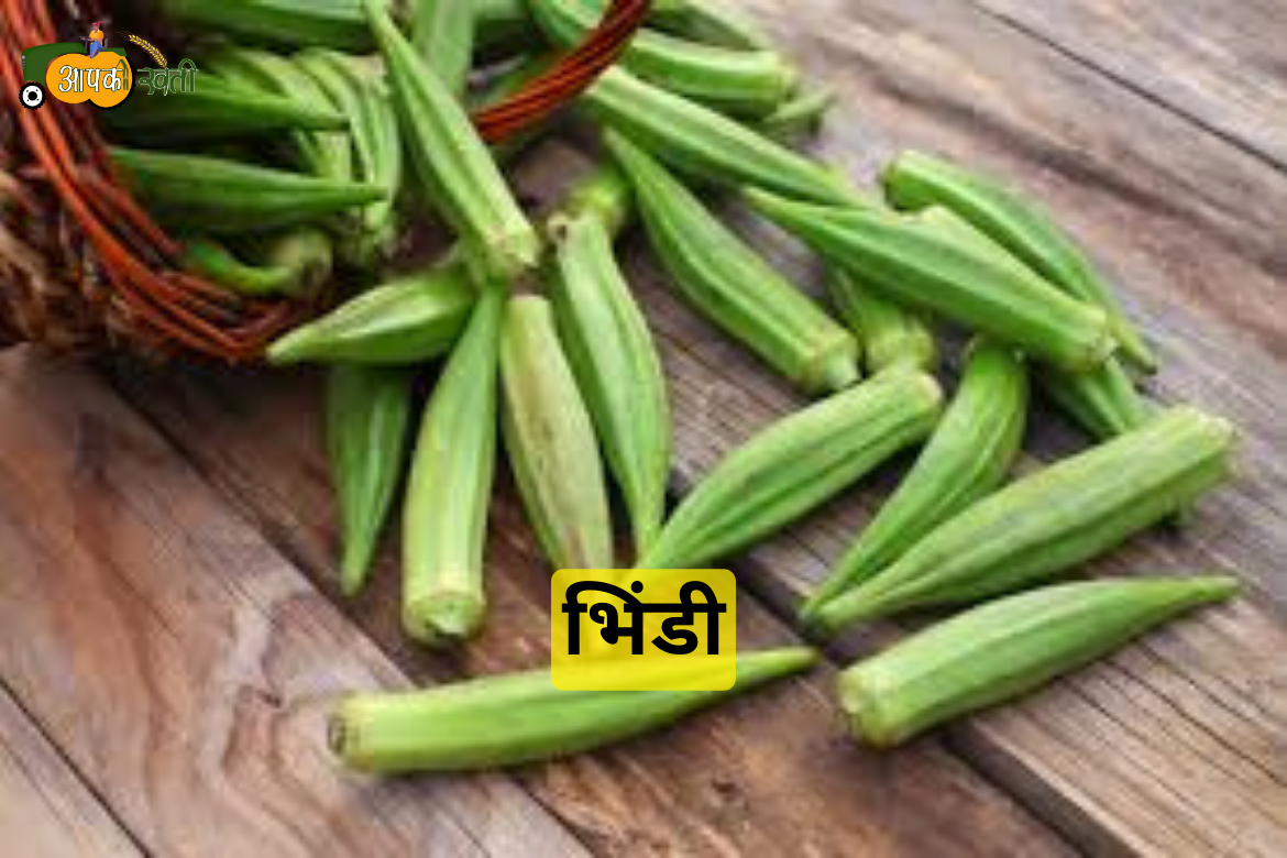 Monsoon Vegetables in 2024 aapkikheti.com