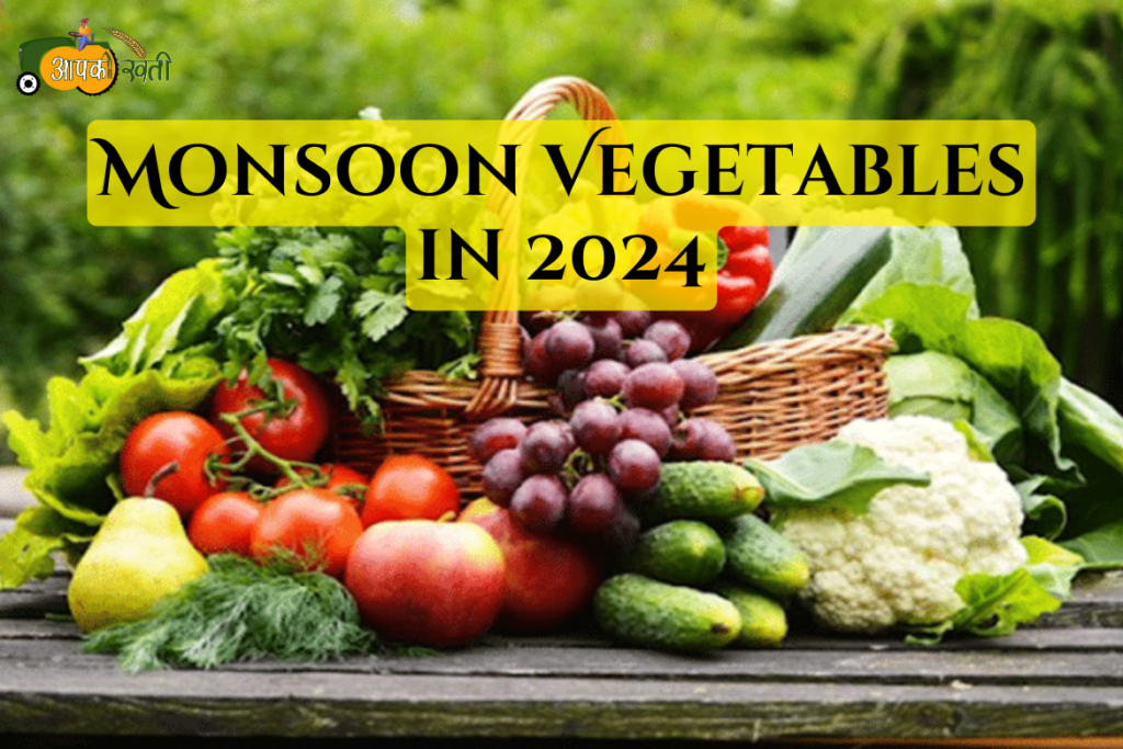 Monsoon Vegetables in 2024