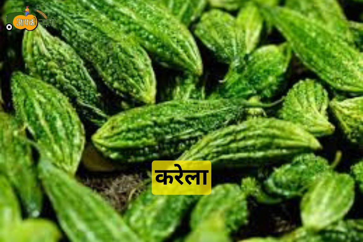 Monsoon Vegetables in 2024 aapkikheti.com