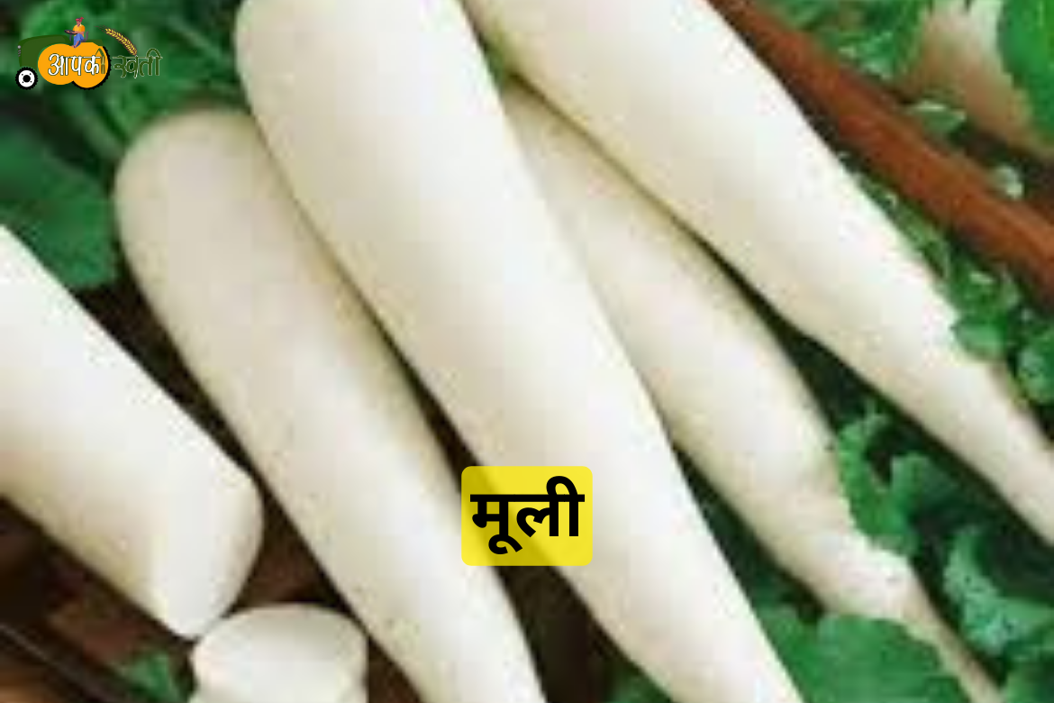 Monsoon Vegetables in 2024 aapkikheti.com