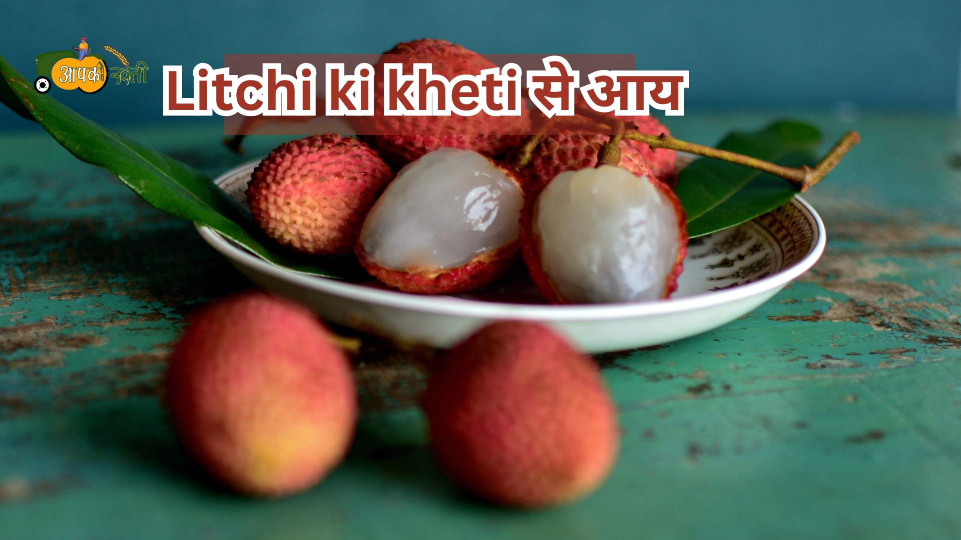 Litchi ki  kheti 