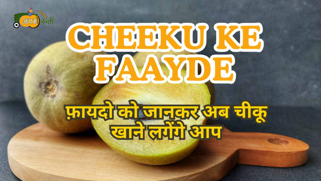 Cheeku Ke Faayde Aapkikheti.com