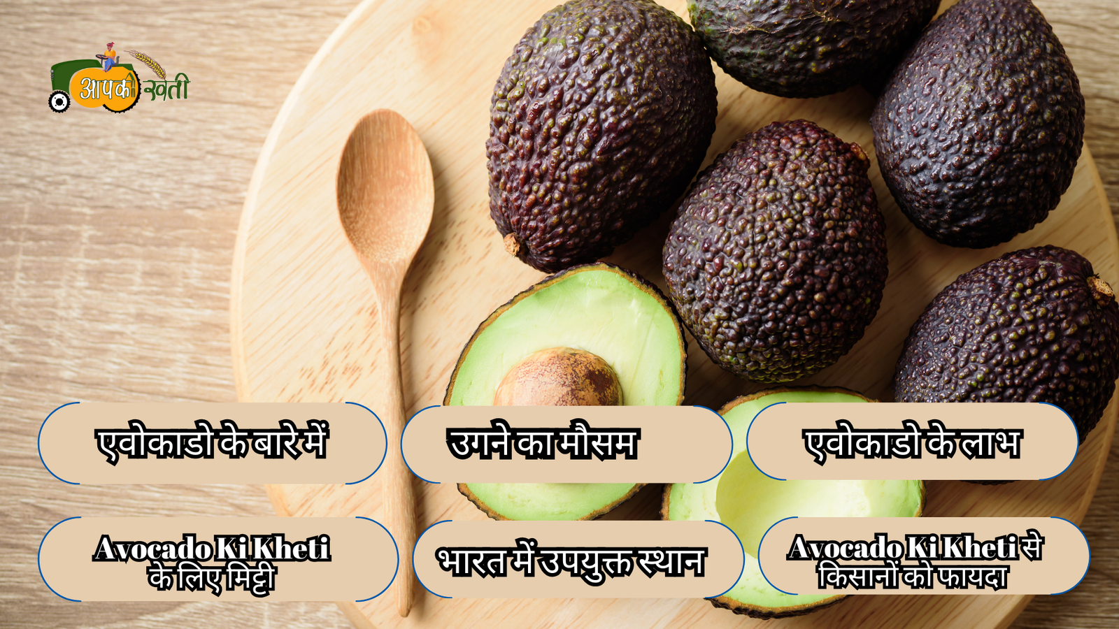 Avocado Ki Kheti : जानिए इसके फायदे और खेती से जुड़ी अहम बातें Aapkikheti.com