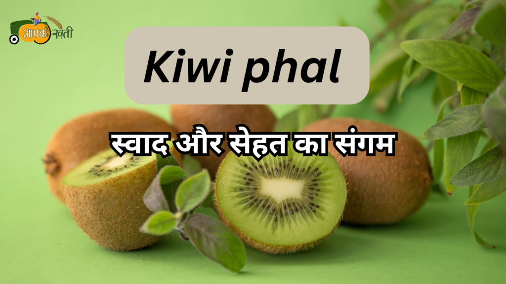 Kiwi phal :स्वाद और सेहत का संगम Aapkikheti.com