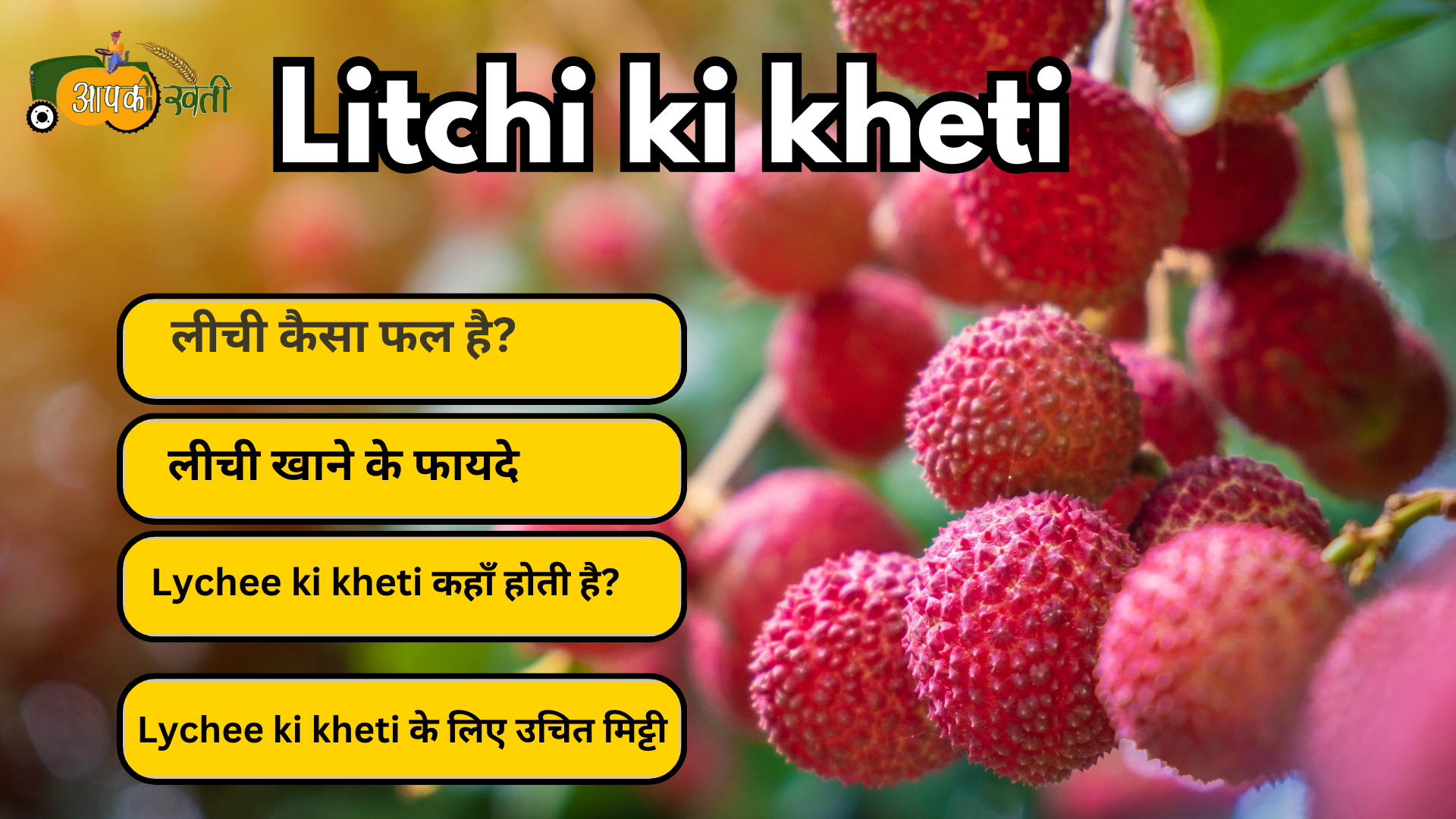 Litchi ki kheti :और इससे जुडी प्रमुख बाते Aapkikheti.com