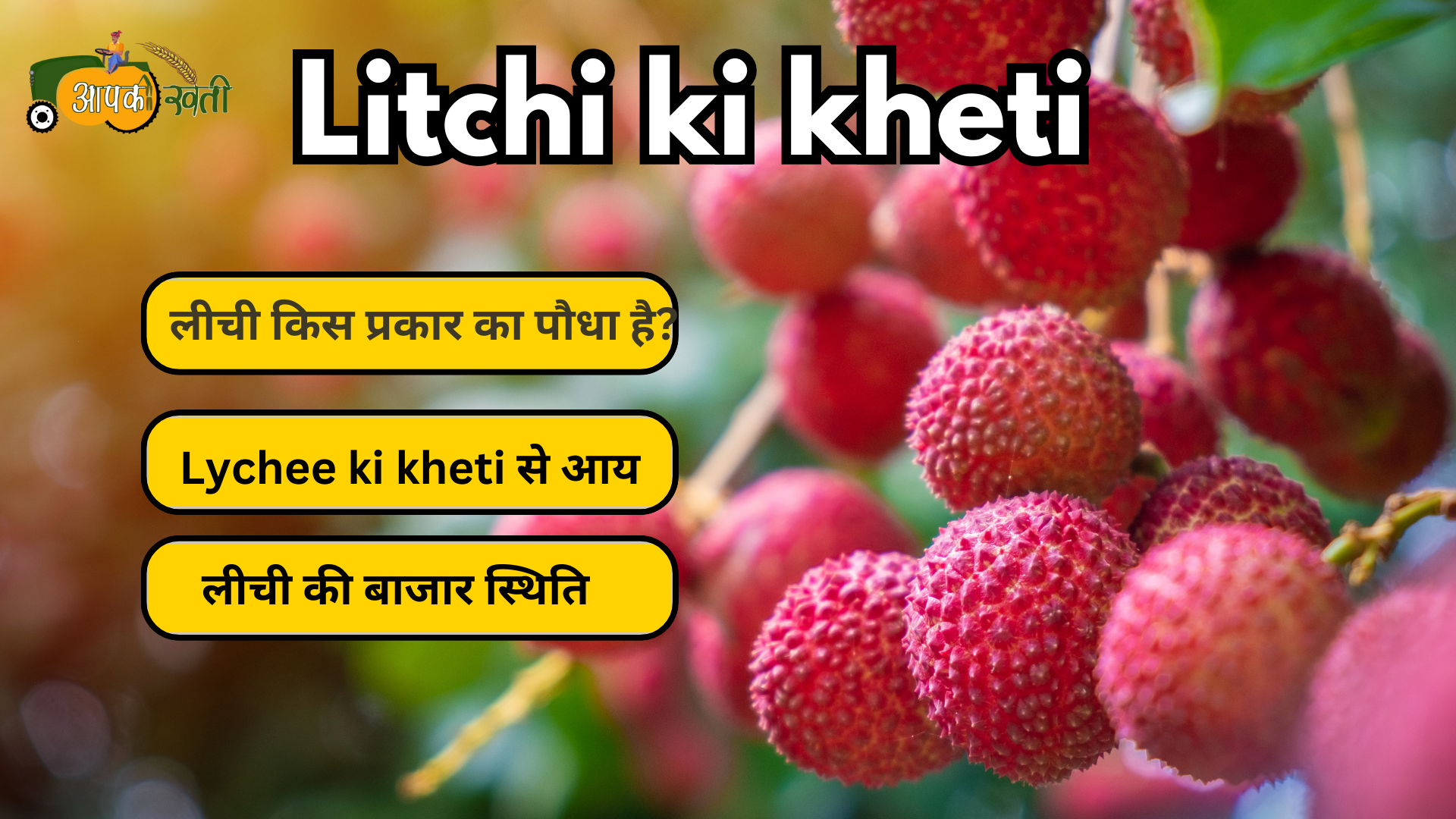 Litchi ki kheti :और इससे जुडी प्रमुख बाते Aapkikheti.com