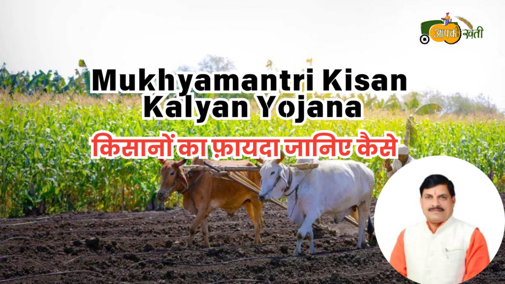 Mukhyamantri Kisan Kalyan Yojana 2024 : किसानों का फ़ायदा जानिए कैसे Aapkikheti.com