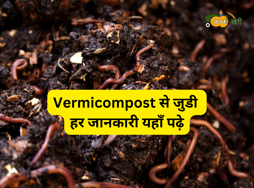 Vermicompost Aapkikheti.com