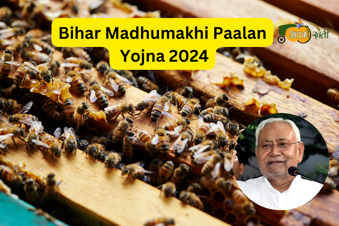 Bihar Madhumakhi Paalan Yojna 2024