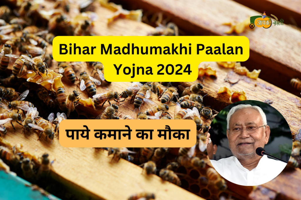 Bihar Madhumakhi Paalan Yojna 2024