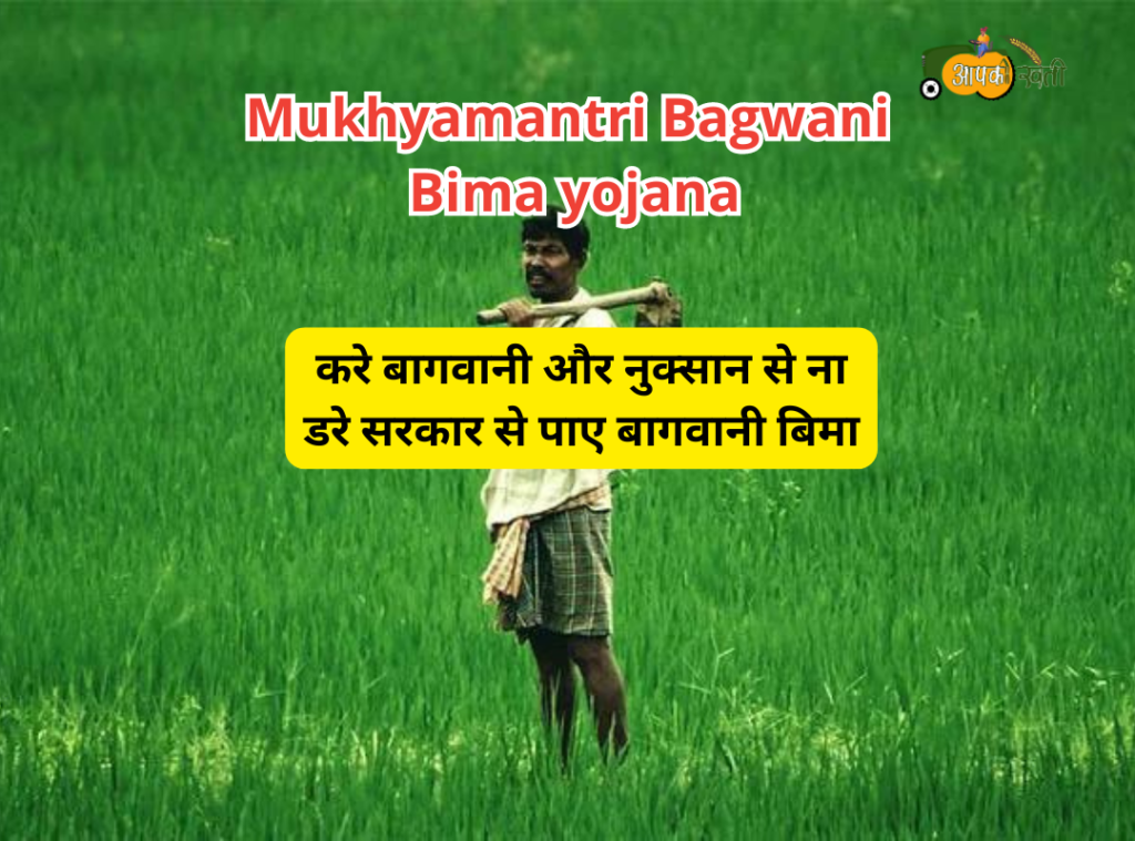 Mukhyamantri Bagwani Bima yojana Aapkikheti.com