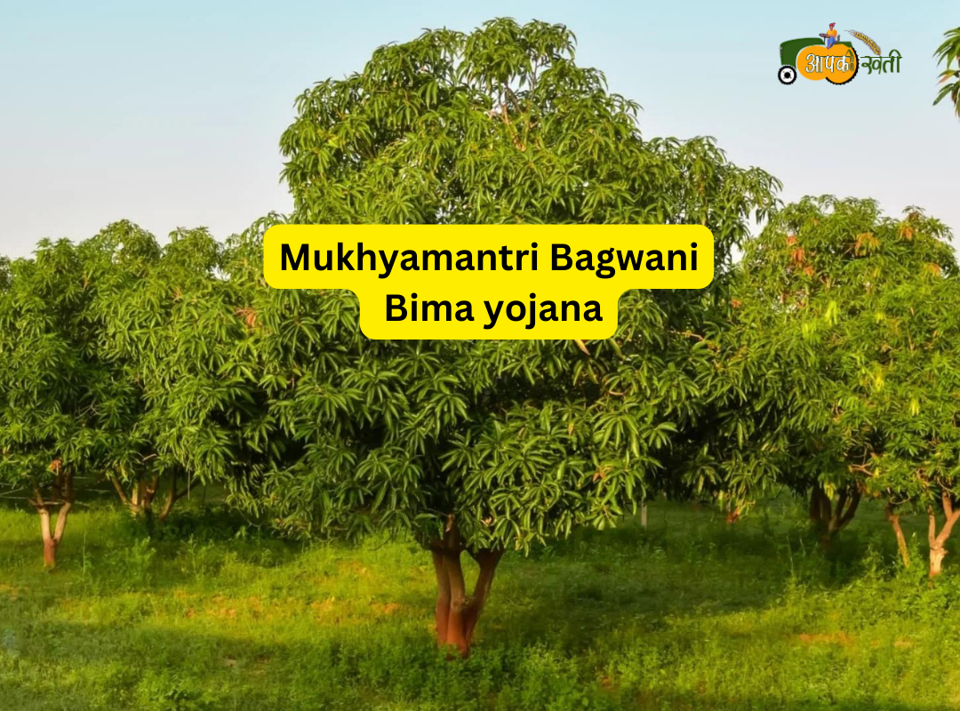 Mukhyamantri Bagwani Bima yojana Aapkikheti.com