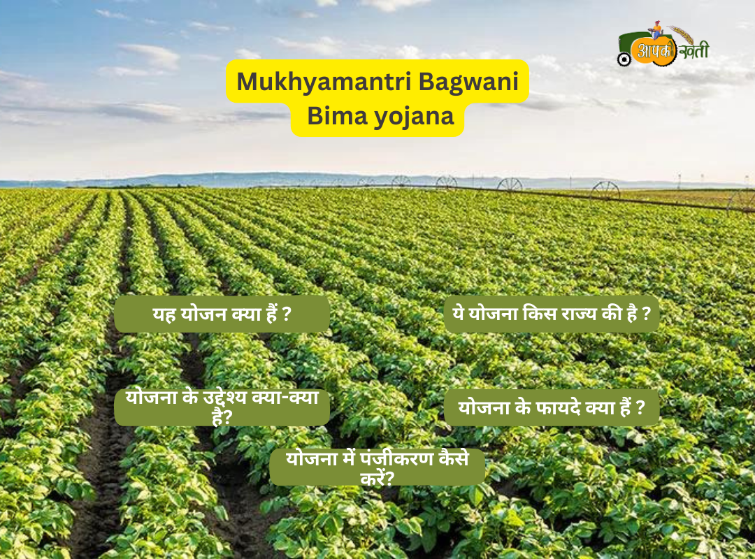 Mukhyamantri Bagwani Bima yojana Aapkikheti.com