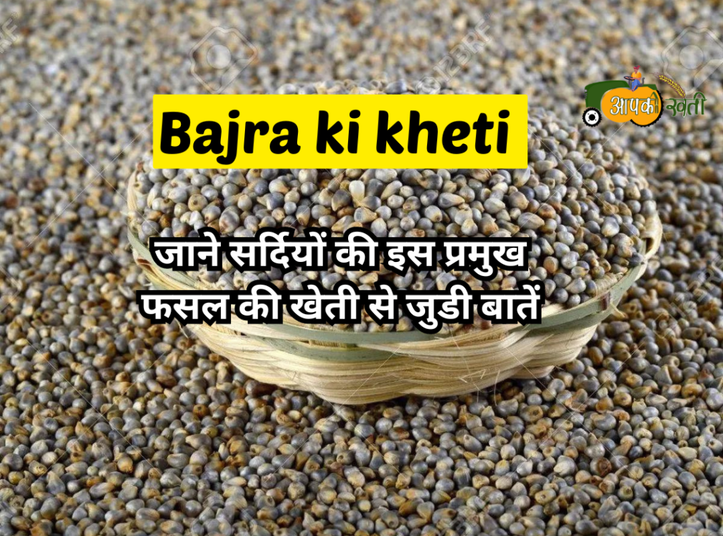 Bajra ki kheti Aapkikheti.com