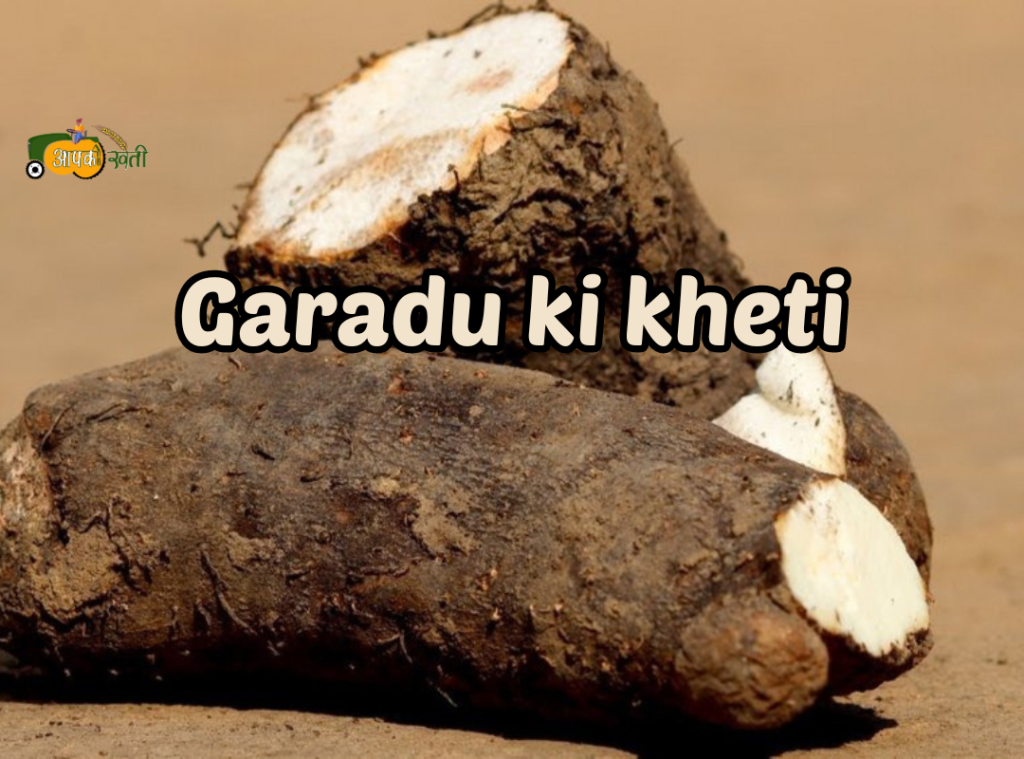 Garadu ki kheti