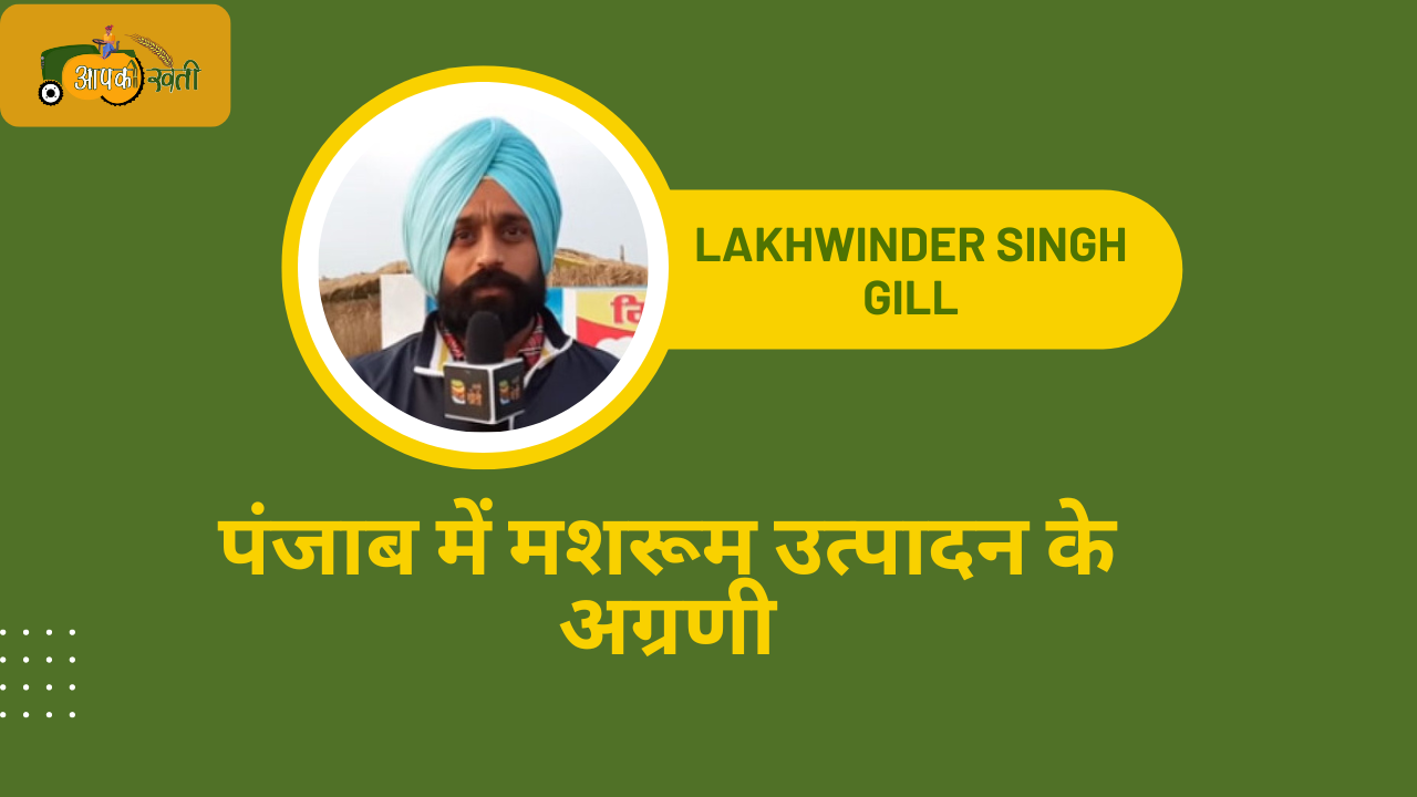 Lakhwinder singh gill