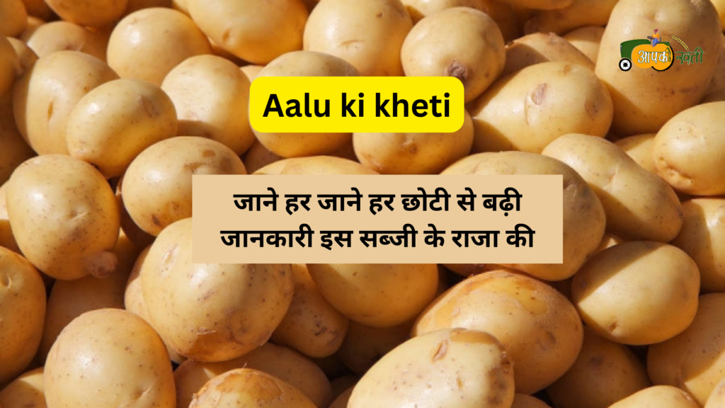 Aalu ki kheti aapkikheti.com