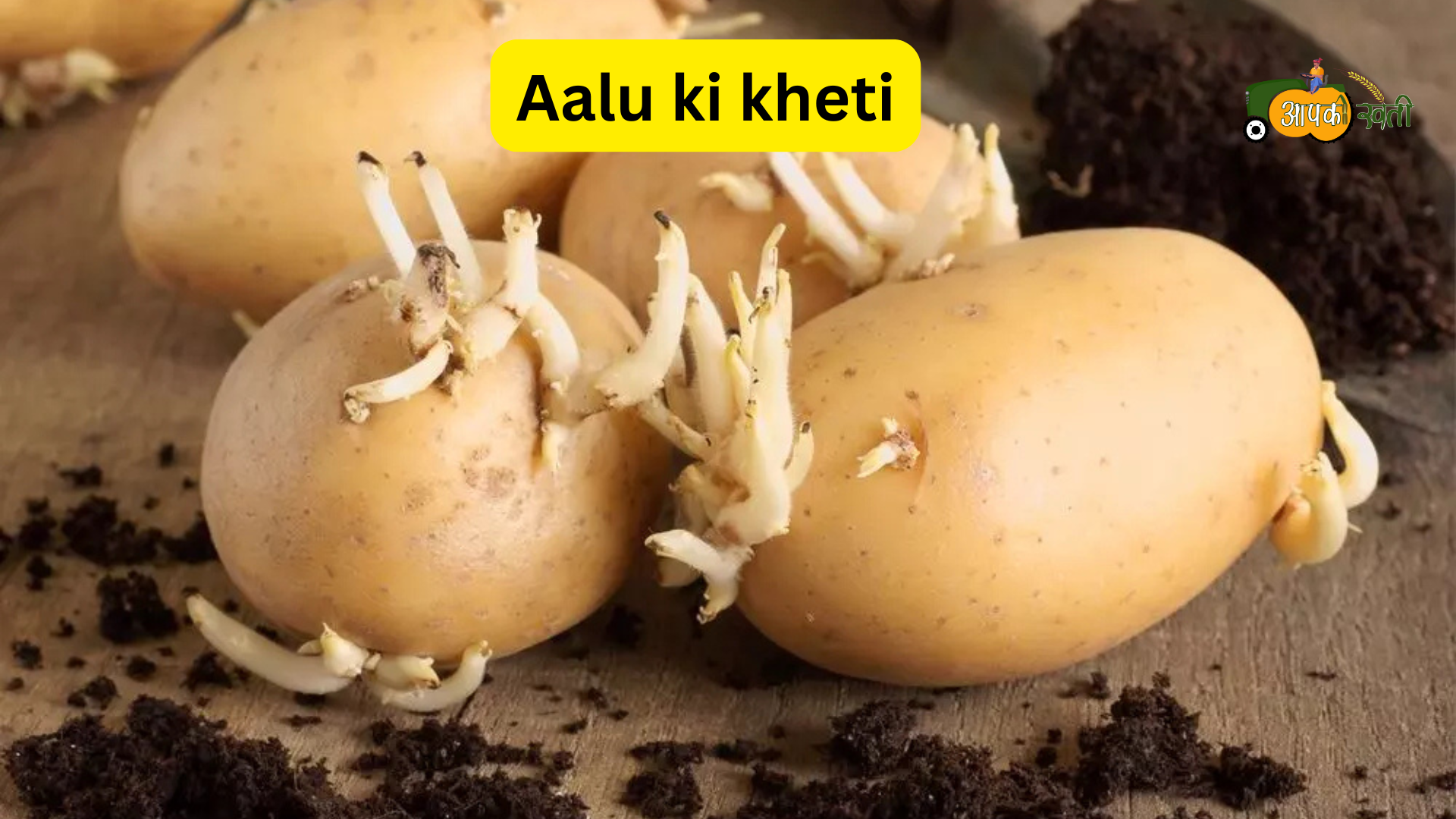 Aalu ki kheti aapkikheti.com